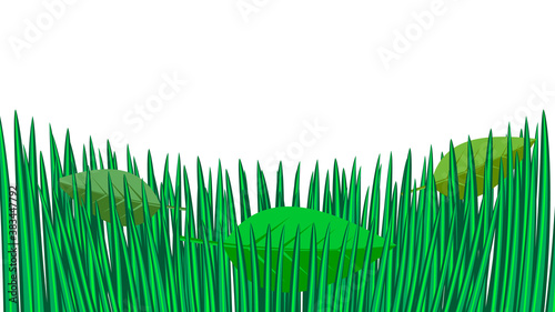 fallen tree foliage on green grass, on the lawn, isolate