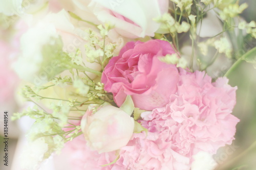 Close up beautiful Pink rose flower bouquet