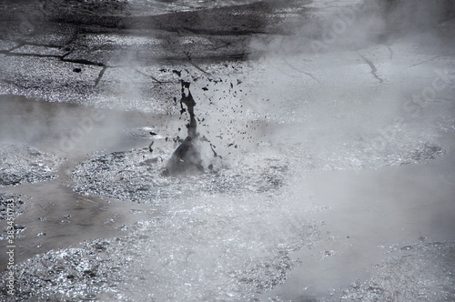Boiling mud at geothermal Wai-O-Tapu thermal wonder park, North island of New Zealand photo