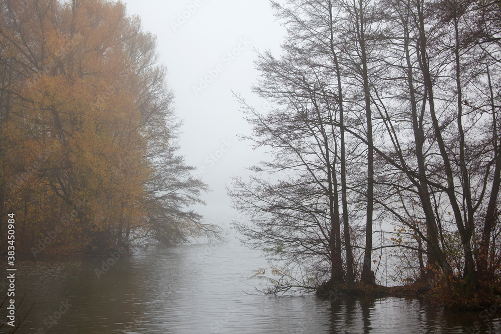Autumn landscape with trees and the river in the fog