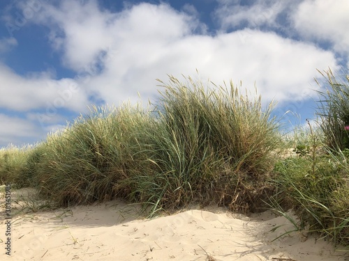 Dünen Schillig Strand