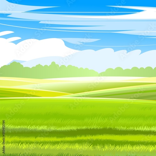 Rural hills. Scenery. Vector. Pasture grass for cows and a place for a vegetable garden and farm. Meadows and trees. Horizon. Beautiful view. Summer.