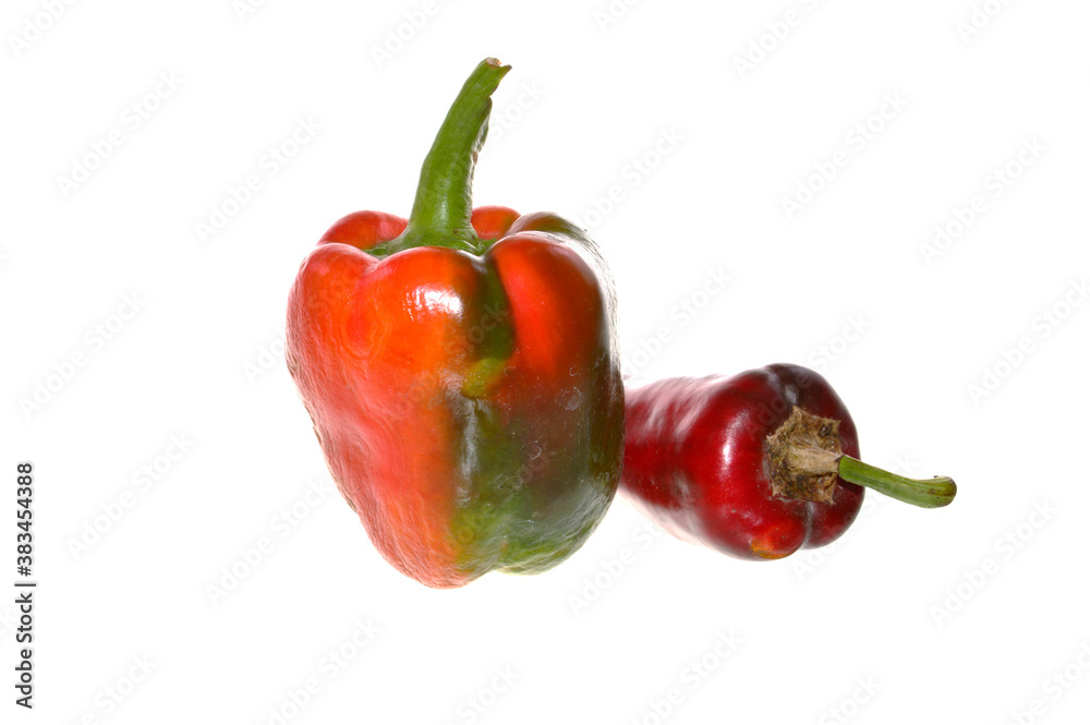 bell pepper isolated on white background bell pepper isolated on white background