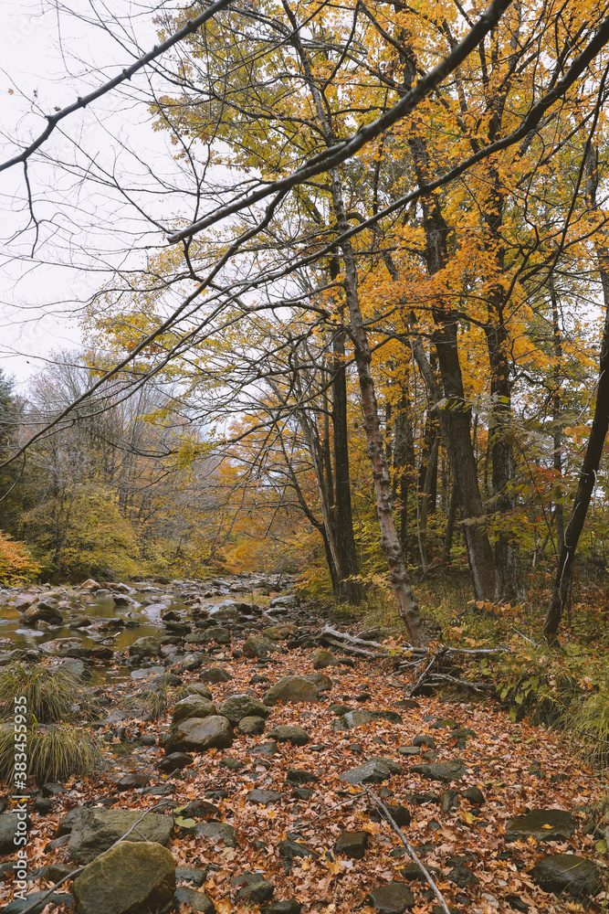 Hoosic River in autumn, Clarksburg, Massachusetts Hoosic River in autumn, Clarksburg, Massachusetts