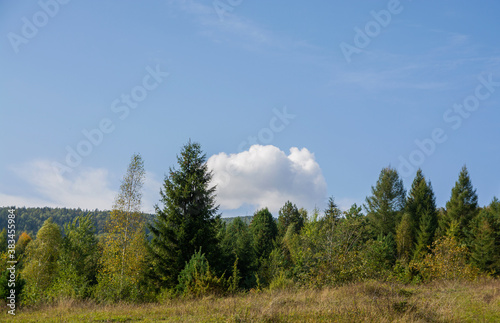 Autumn landscape in the forest. Bakinte sky and mountain view. Forest and nature.