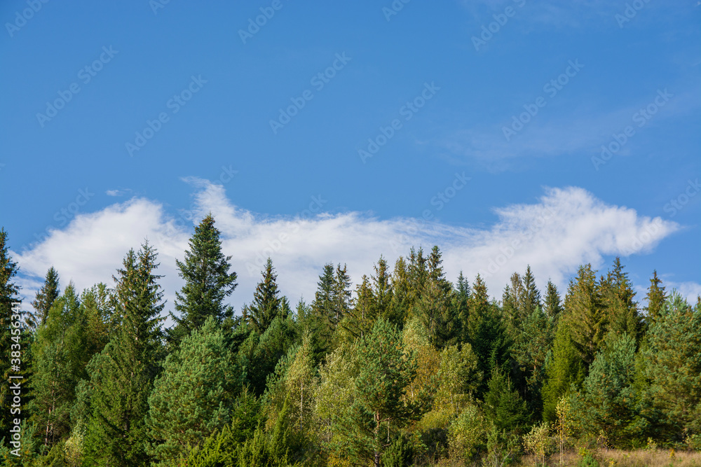 Autumn landscape in the forest. Bakinte sky and mountain view. Forest and nature.