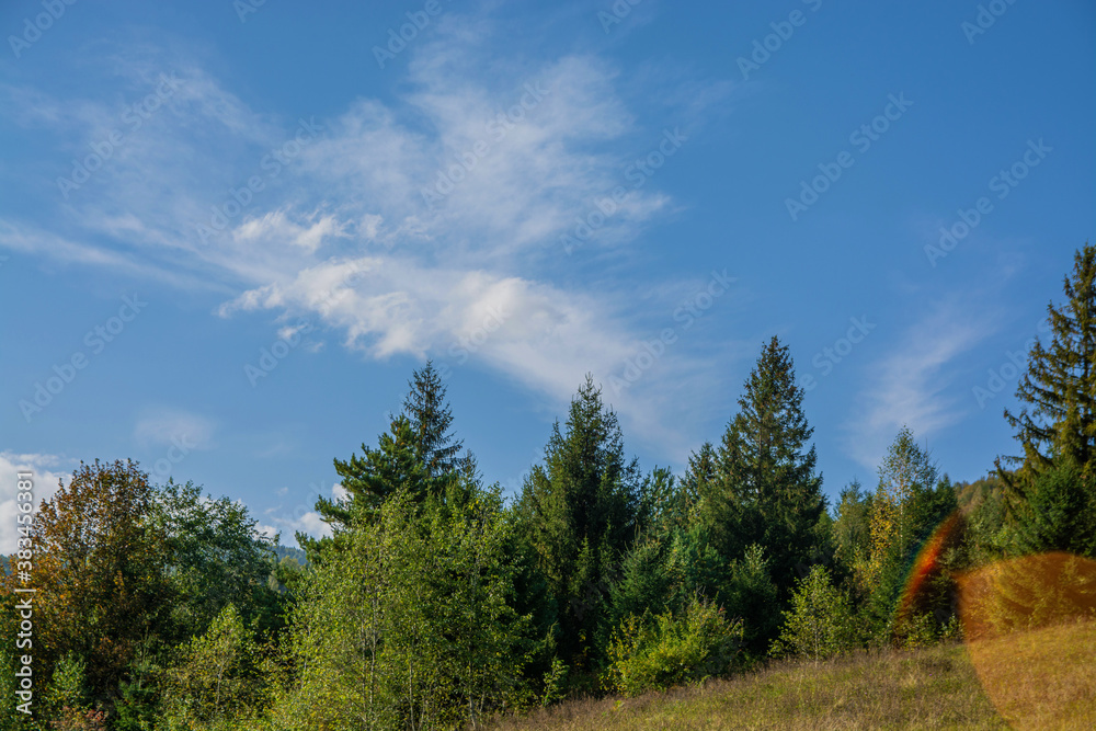 Autumn landscape in the forest. Bakinte sky and mountain view. Forest and nature. Autumn landscape in the forest. Bakinte sky and mountain view. Forest and nature.