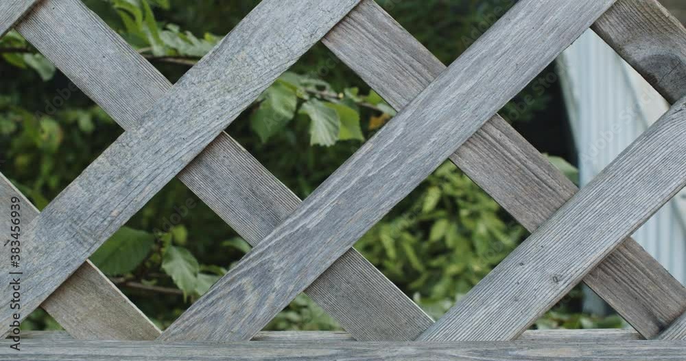 Crossed wooden sticks with plants swinging in the wind behind Crossed wooden sticks with plants swinging in the wind behind