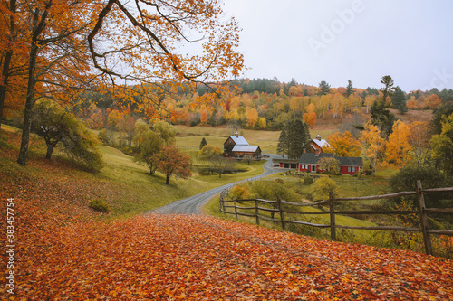The most beautiful farm, Sleepy Hollow Farm, Vermont Leaf peeping. Autumn in New England is known for its vibrant colors and picturesque beauty. USA barns, farmhouses