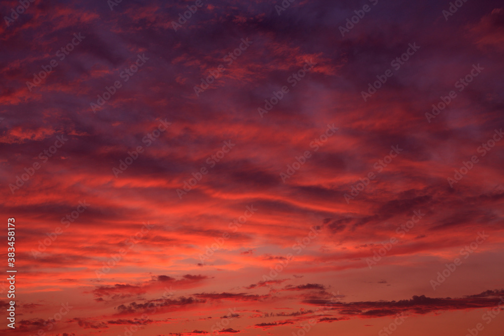 Fototapeta premium 夕焼け