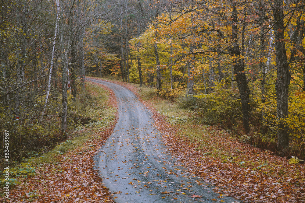 Obraz premium Autumn country road, Vermont