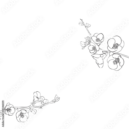 Hand drawn design elements sakura flowers collection.