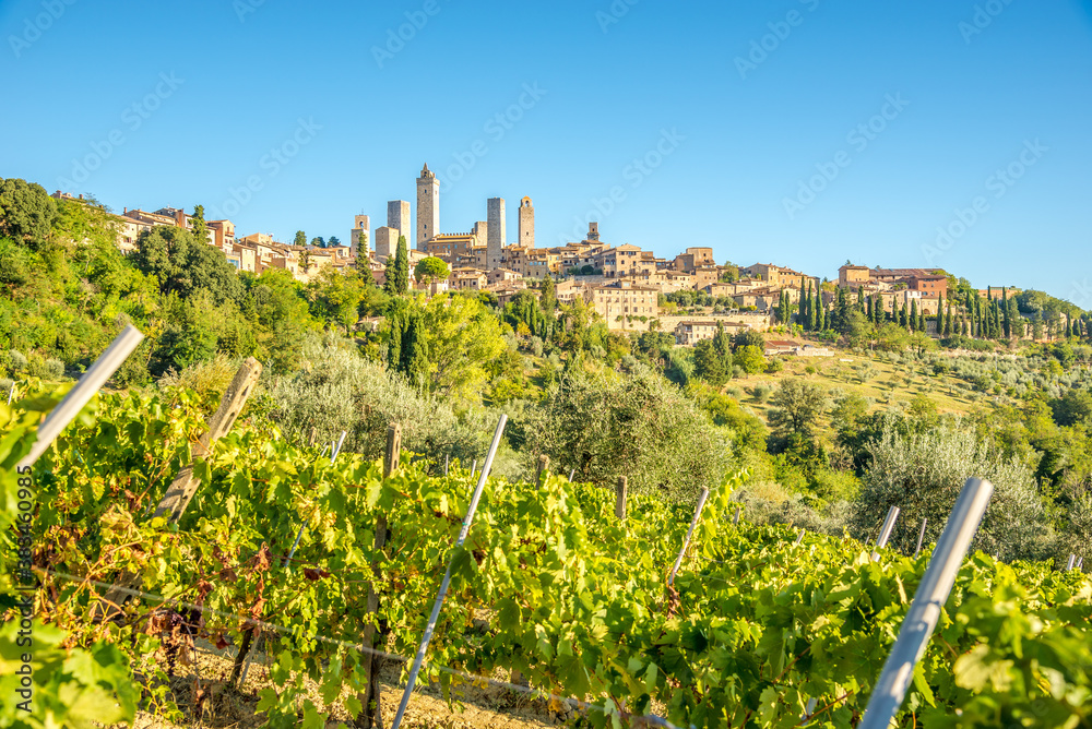 View at the town of San Gimignano from wineyards, Italy