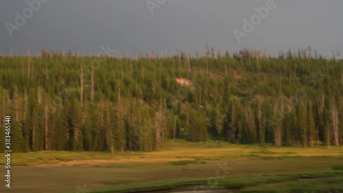 Yellowstone forest taken in POV during the day. photo