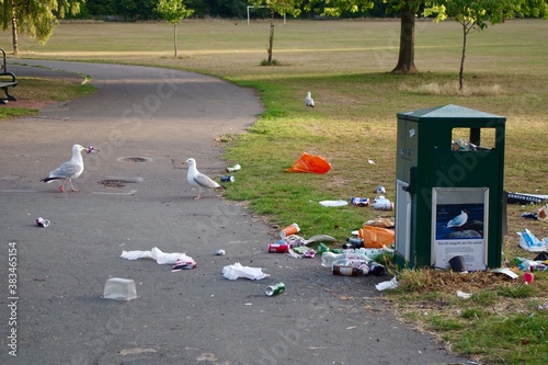 Littering in the park