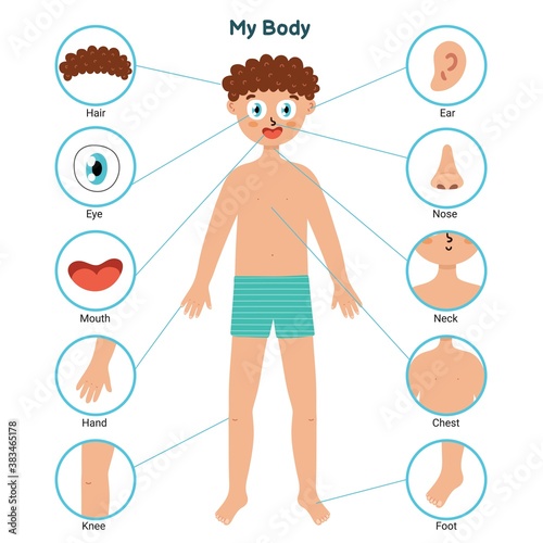 Body parts educational posters with a boy. Learning parts of body