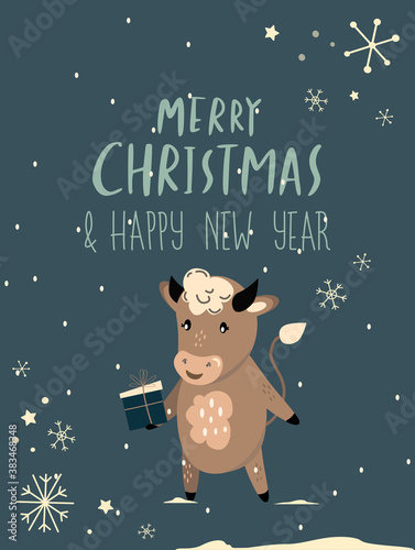 Christmas,Happy New Year Greeting Card.Cute Cartoon Bull with Gift. Cow Chinese 2021 Symbol.Holiday Animal.Winter Snowflake Atmosphere.Festive Design of Calendar,Cards, Advertising.Vector illustration