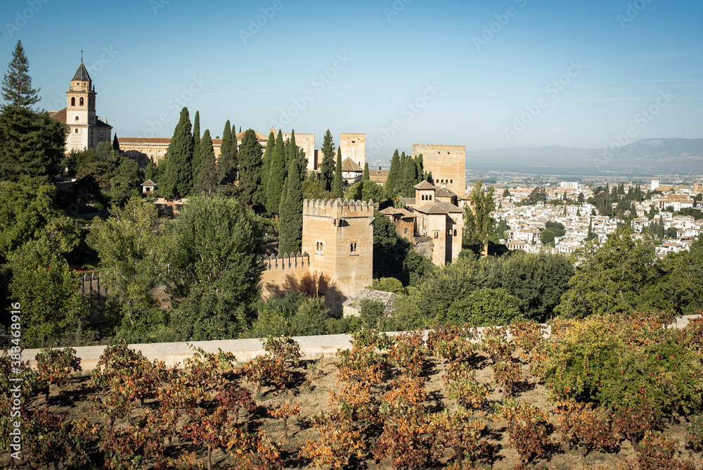 Vineyards of the garden of the Alhambra in Granada Spain
