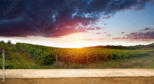 table on the background of ripe vineyards at sunset. empty table space for your products © Egor