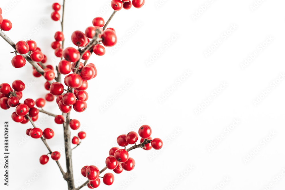 Minimal seasonal composition. Pattern of branch with red berries on isolated white background. Christmas holidays, winter concept. Copy space, top view. Minimal seasonal composition. Pattern of branch with red berries on isolated white background. Christmas holidays, winter concept. Copy space, top view.