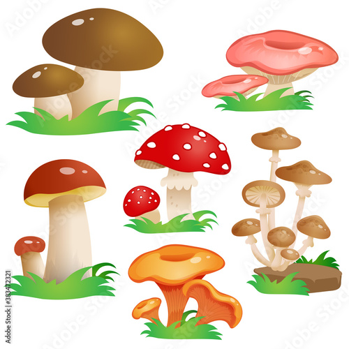 Color image of mushrooms on white background. Vector illustration set for kids.