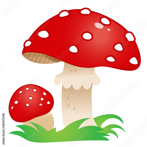 Color image of beautiful fly agaric on white background. Mushrooms. Vector illustration for kids.