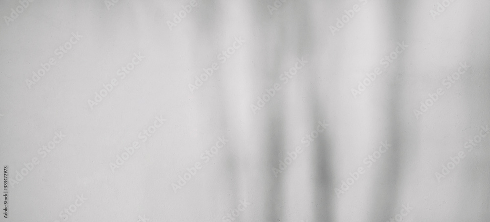 The beautiful background with shadows on the white wall The beautiful background with shadows on the white wall
