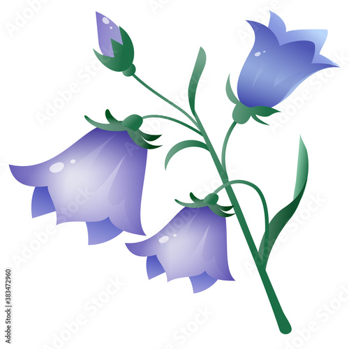 Color image of bell or bluebell or bellflower on white background. Plants and flowers. Vector illustration for kids.