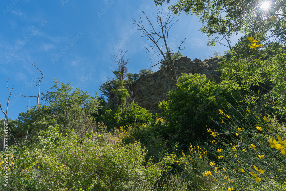 Fototapeta premium Mountainous landscape covered with vegetation in southern Spain