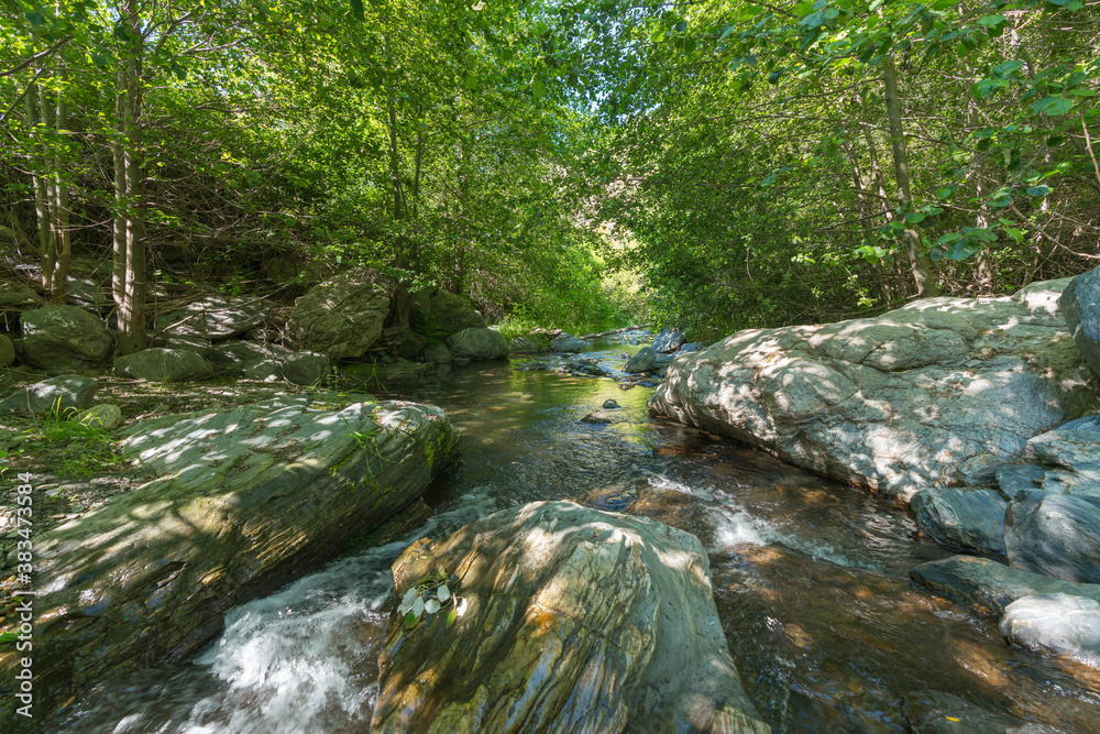 Obraz premium Crystal clear river surrounded by vegetation and stones