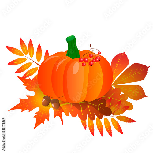 Pumpkin