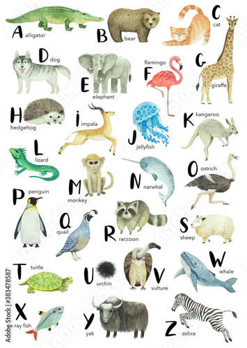 Canvas Print Watercolor animals alphabet for kids education.