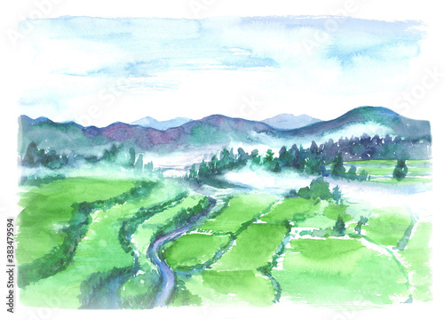 水彩で描いた日本の棚田の風景