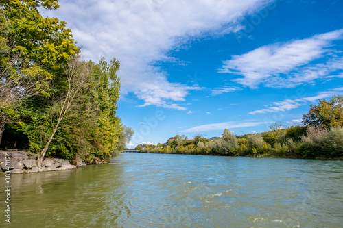 Scenic view of river amidst trees