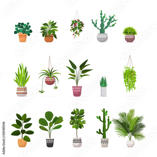 set decorative houseplants planted in ceramic pots different garden potted plants collection isolated vector illustration