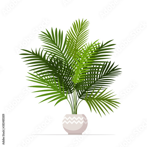 decorative houseplant planted in ceramic pot garden potted plants isolated vector illustration