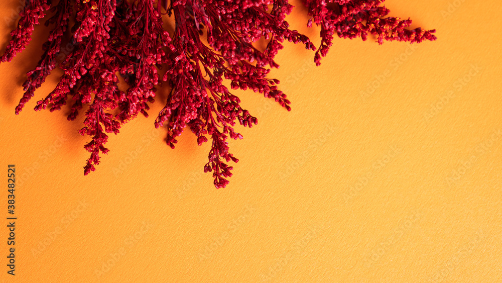 Orange autumn background with red dried flowers. Fall postcard mock up. Greeting card. Autumn mood. Copy space