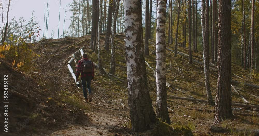 A young man walks uphill from the forest in autumn in slow motion with a backpack. A hipster man in a plaid jacket walks through a beautiful woodland area in an autumn Park A young man walks uphill from the forest in autumn in slow motion with a backpack. A hipster man in a plaid jacket walks through a beautiful woodland area in an autumn Park