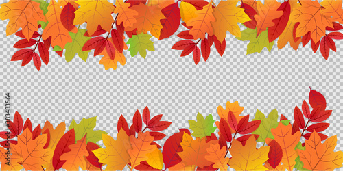 Autumn leaves on transparent background. Colorful background with autumn ornament. Red and orange foliage hanging on tree. October and november pattern. Realistic collection of leaves. EPS 10.