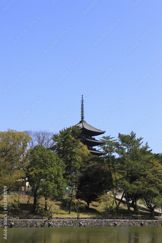 猿沢池と興福寺