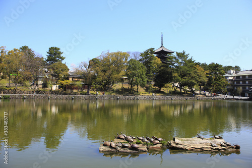 猿沢池と興福寺