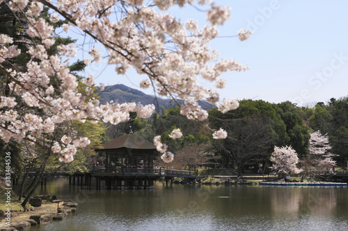 奈良、春の浮見堂