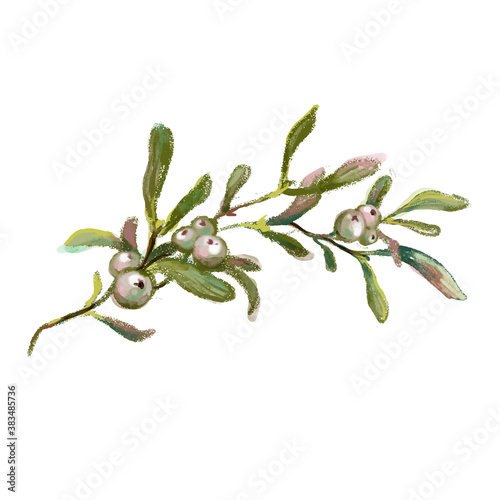 Hand drawn mistletoe branch isolated on white background. Watercolor and crayon vintage style winter botanical illustration. Christmas floral decoration, evergreen plant and berries.
