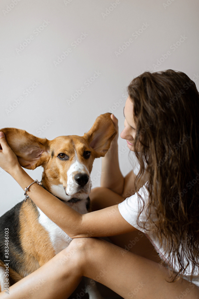 Happy housewife housewife plays with her dog beagle. Keeps her ears up. Happy housewife housewife plays with her dog beagle. Keeps her ears up.