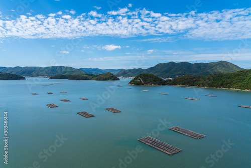 岡山県片上湾の牡蠣筏