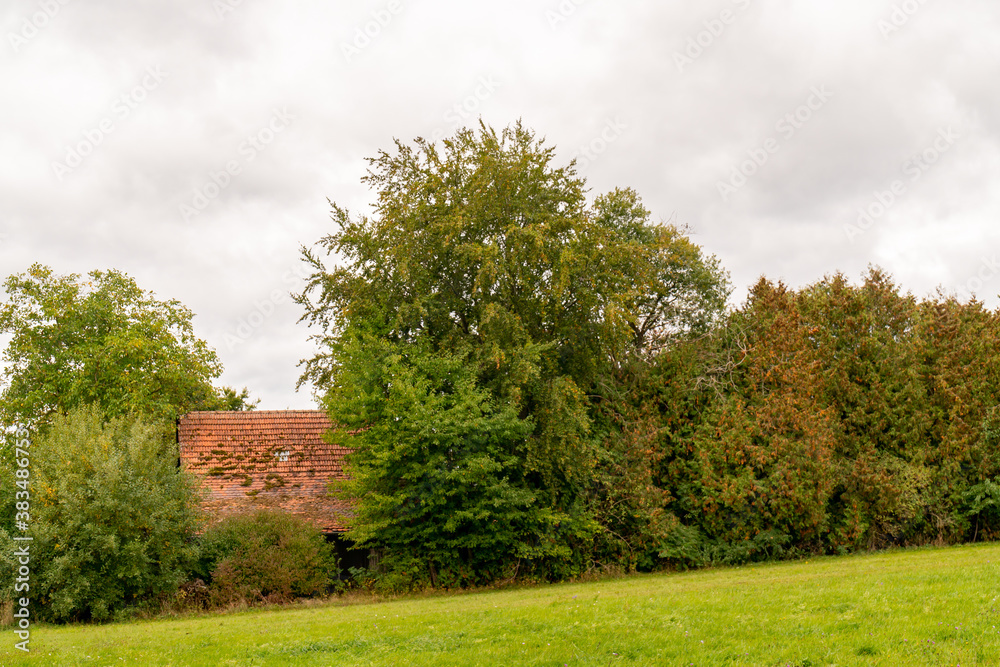 verstecktes Haus am Waldrand verstecktes Haus am Waldrand