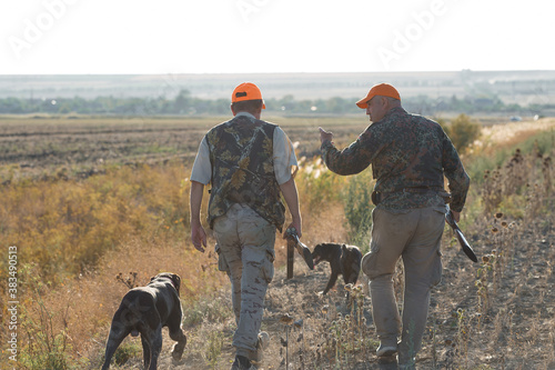 Duck hunters with shotgun walking through a meadow. .Rear view of a man with a weapon in his hands.