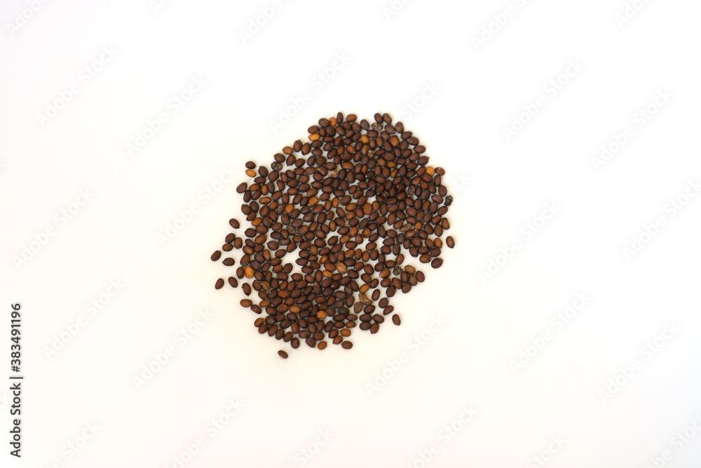 Dinosaur kale seeds isolated on the white background Dinosaur kale seeds isolated on the white background