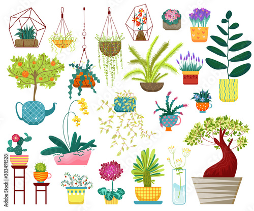 Home plants vector illustration. Cartoon flat house indoor decoration collection with hanging planters, succulent houseplants in pot or vase, potted tree for home garden and balcony isolated on white