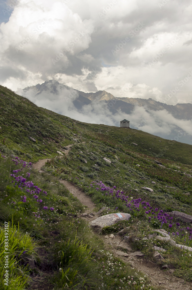 Fototapeta premium footpath in the mountains of the caucasus
